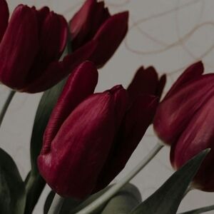 Meet your Posher, Tori